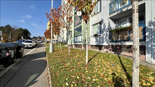 Pronájmu za podmínky postoupení pohledávky za nejvyšší cenu, byt č 8, 2+1, Praha 14, Bratří Venclíků